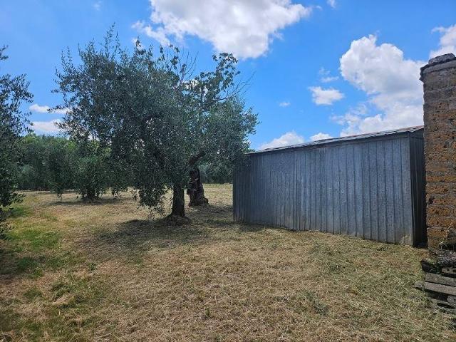 Terreno in vendita a Giove, Umbria