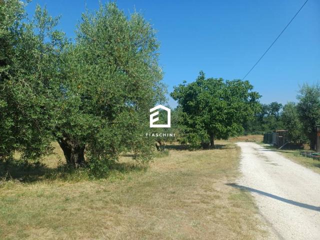 Terreno in vendita a Giove, Umbria