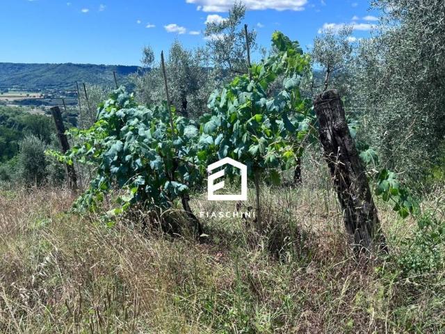 Terreno in vendita a Palombina, Giove