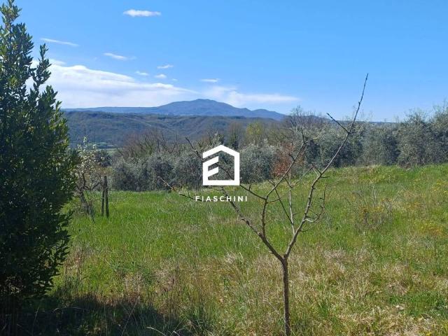 Terreno in vendita a Giove, Umbria