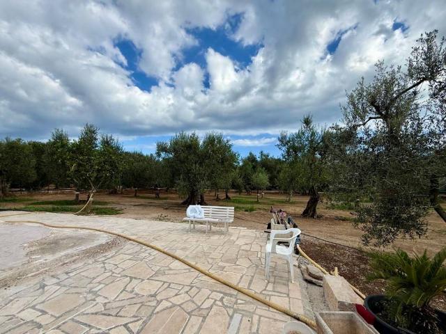 Terreno in vendita a Giovinazzo, Bari