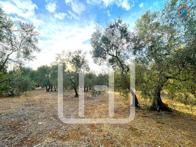 Terreno in vendita a Sette Torri, Giovinazzo