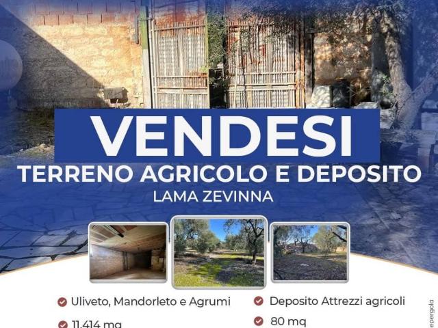 Terreno in vendita a Puglia, Bari