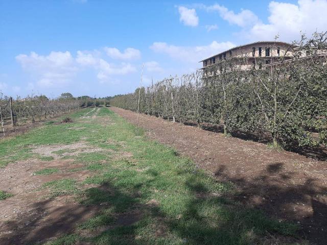 Terreno in vendita a Giugliano In Campania, Campania