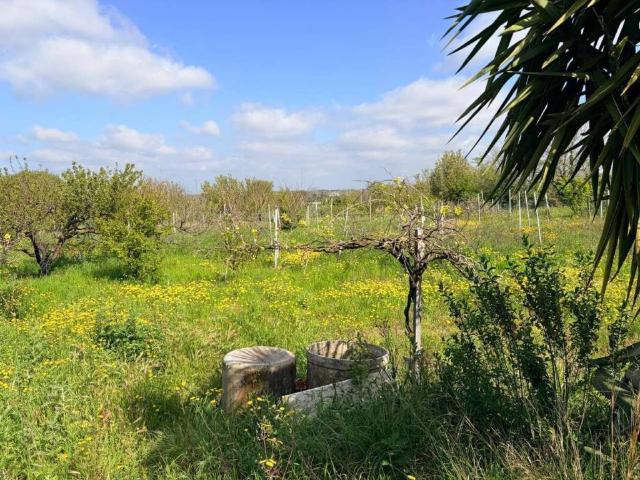 Terreno in vendita a Giugliano In Campania, Campania