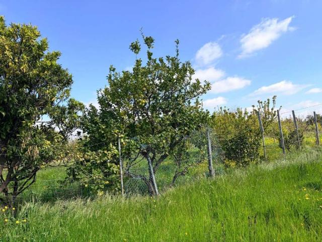 Terreno in vendita a Giugliano In Campania, Campania