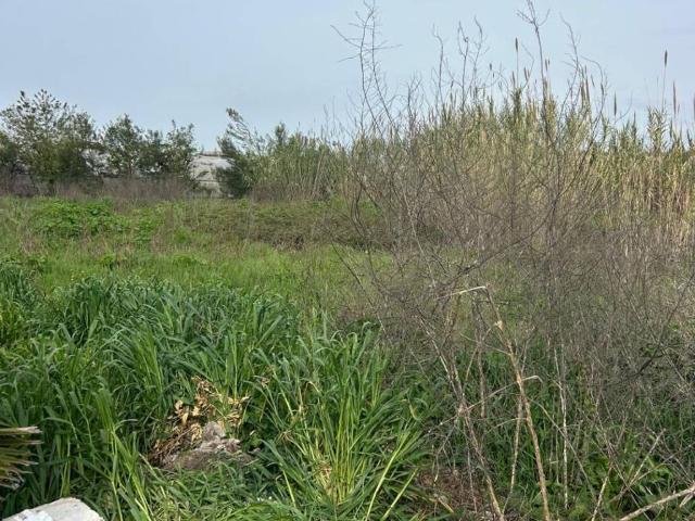 Terreno in vendita a Giugliano In Campania, Campania