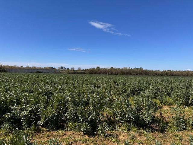 Terreno in vendita a Giugliano In Campania, Campania