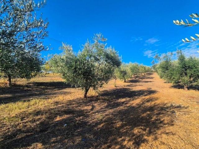 Terreno in vendita a Giuliano Teatino, Chieti