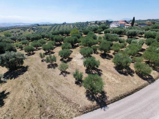Terreno in vendita a Giulianova, Abruzzo