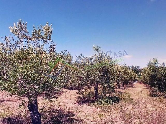 Terreno in vendita a Giulianova, Abruzzo