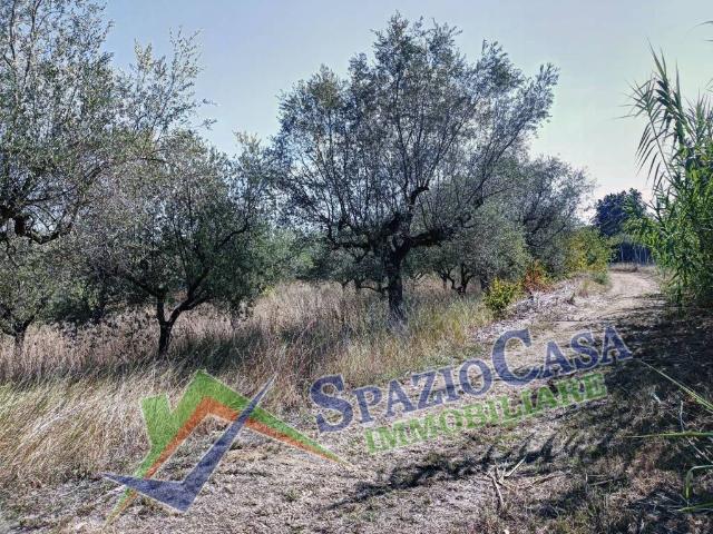 Terreno in vendita a Giulianova, Abruzzo