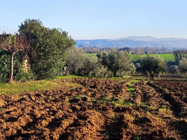 Terreno in vendita a Giulianova, Abruzzo