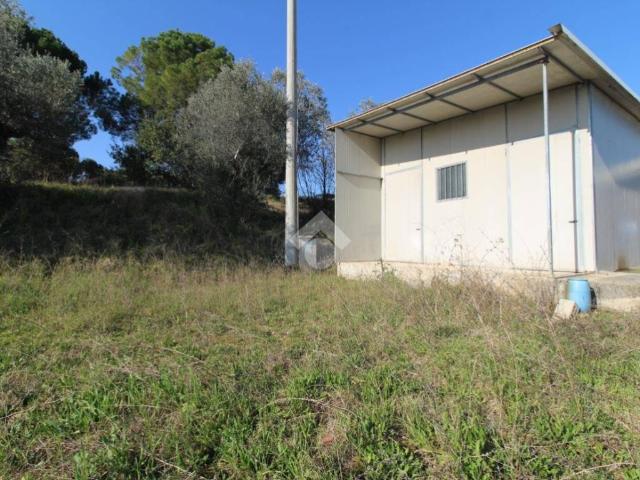 Terreno in vendita a Giulianova, Abruzzo