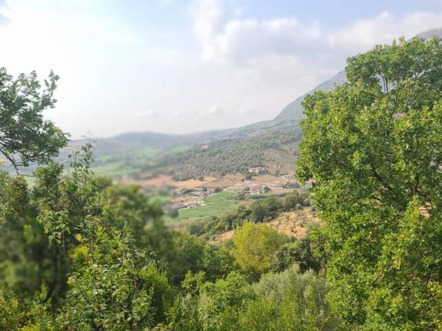 Terreno in vendita a Giungano, Campania