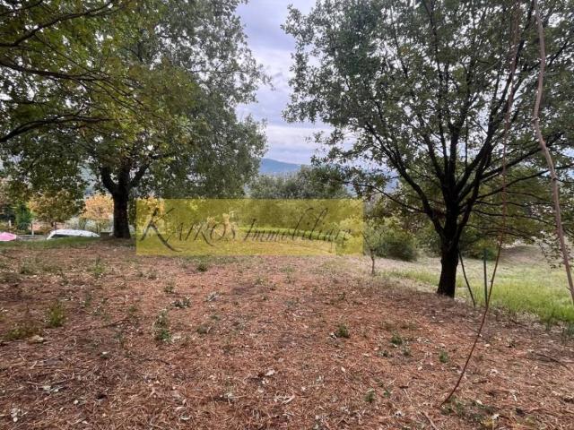Terreno in vendita a Giungano, Campania