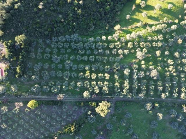 Terreno in vendita a Giungano, Campania