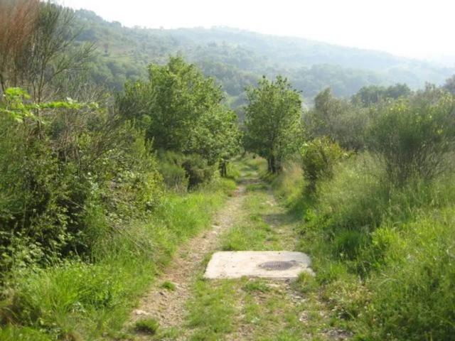 Terreno in vendita a Giungano, Campania
