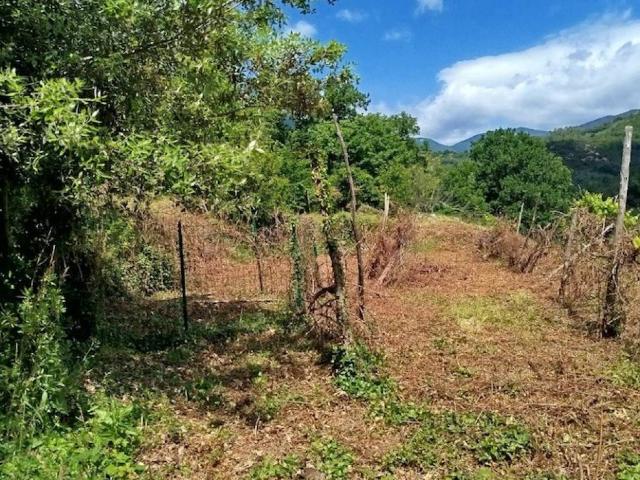Terreno in vendita a Giustenice, Liguria