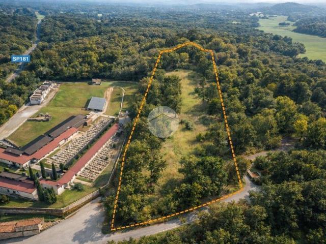 Terreno in vendita a Unione Montana di Comuni delle Valli di Lanzo, Ceronda e Casternone, Piemonte