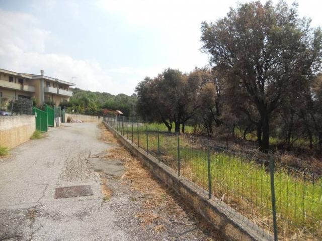 Terreno in vendita a Calabria, Catanzaro