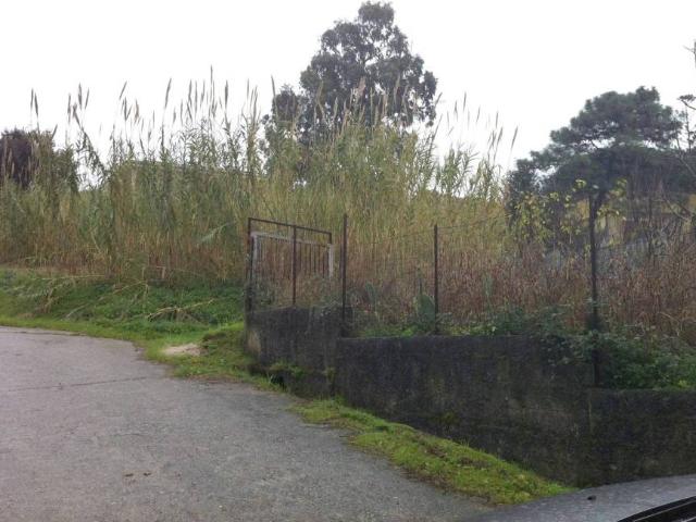 Terreno in vendita a Calabria, Catanzaro