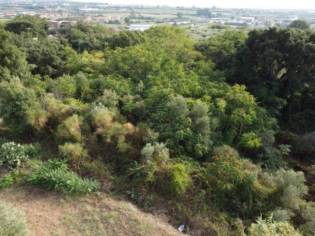 Terreno in vendita a Calabria, Catanzaro