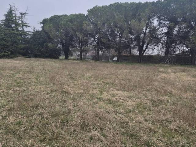 Terreno in vendita a Gonars, Friuli-Venezia Giulia