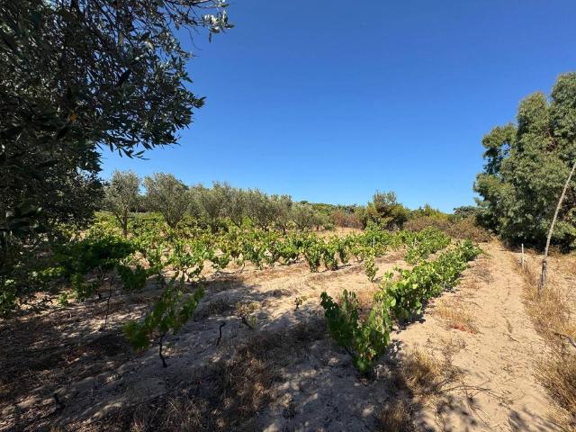 Terreno in vendita a Gonnesa, Sardigna/Sardegna