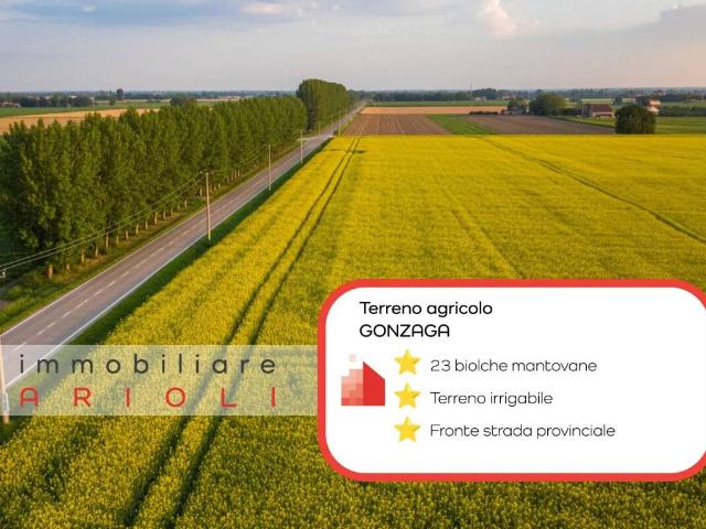 Terreno in vendita a Bondeno, Bondeno Di Gonzaga
