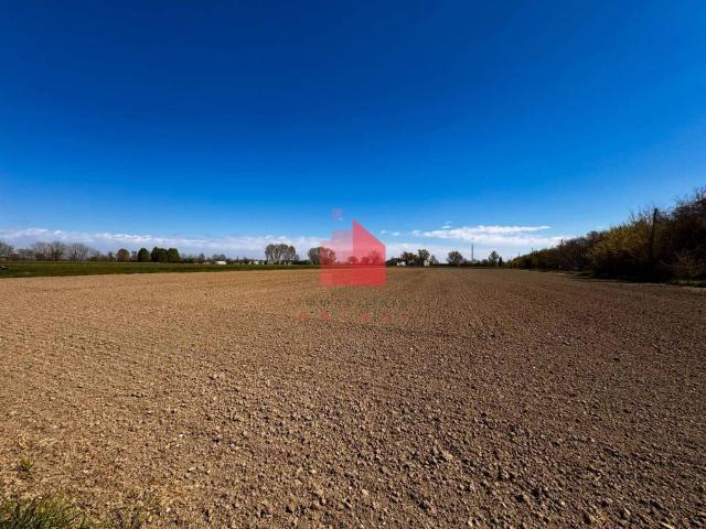 Terreno in vendita a Bondeno, Bondeno Di Gonzaga
