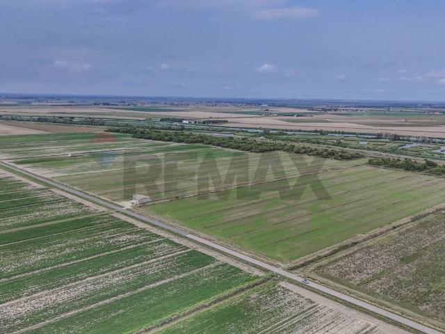 Terreno in vendita a Unione Delta del Po, Goro