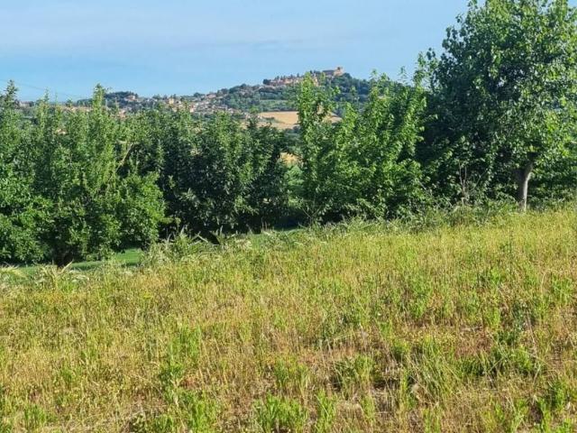Terreno in vendita a Marche, Pesaro E Urbino