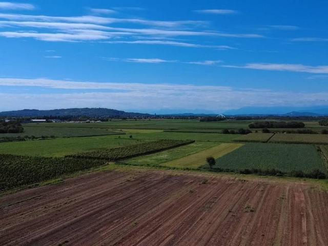 Terreno in vendita a Gradisca D'isonzo, Friuli-Venezia Giulia