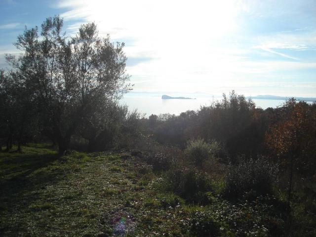 Terreno in vendita a Gradoli, Lazio