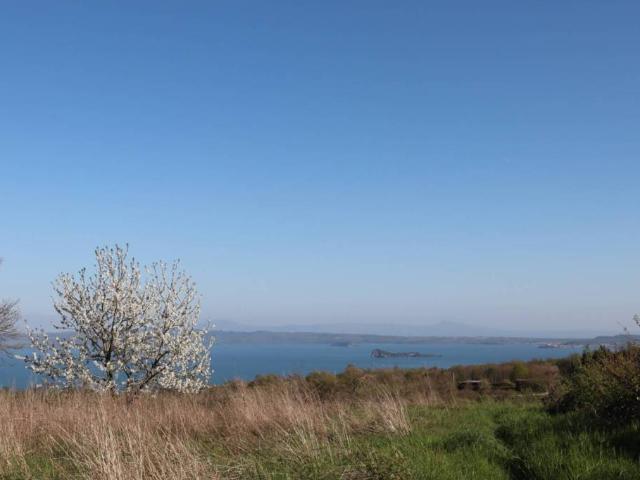Terreno in vendita a Gradoli, Lazio