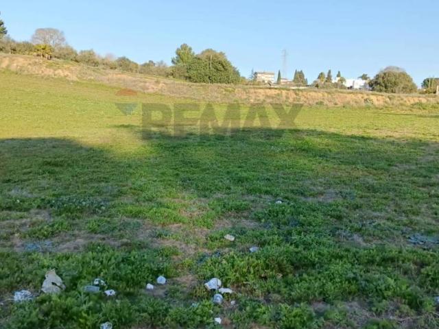 Terreno in vendita a Grammichele, Sicilia