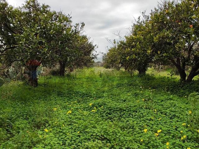Terreno in vendita a Grammichele, Sicilia