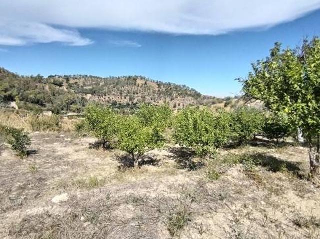 Terreno in vendita a Grammichele, Sicilia