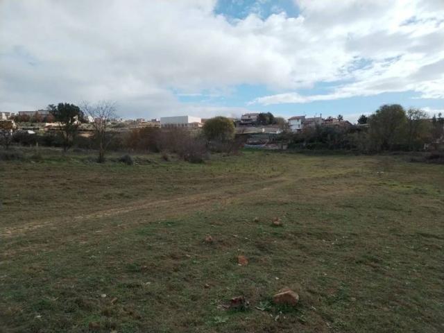 Terreno in vendita a Grammichele, Sicilia