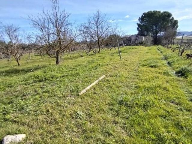 Terreno in vendita a Grammichele, Sicilia