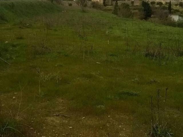 Terreno in vendita a Grammichele, Sicilia