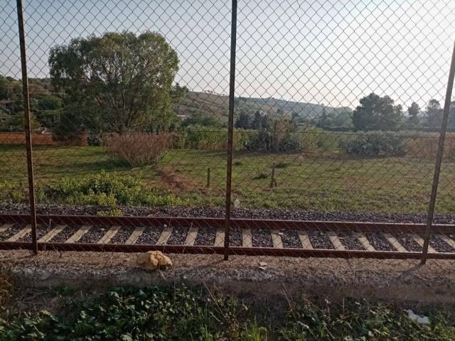 Terreno in vendita a Grammichele, Sicilia