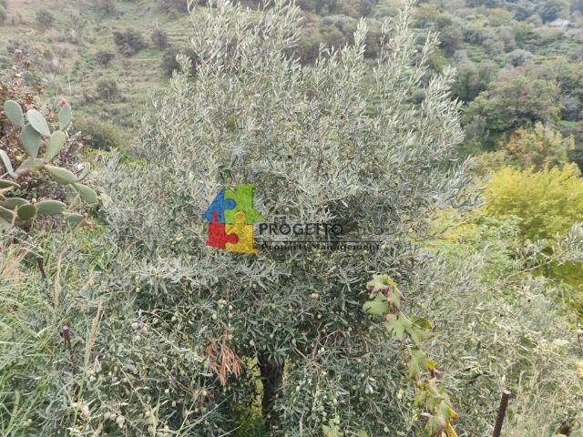 Terreno in vendita a Graniti, Sicilia