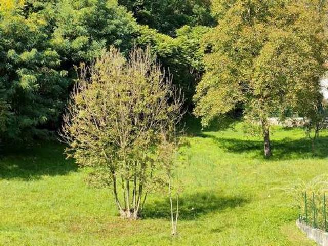 Terreno in vendita a Pedemonte, Piemonte