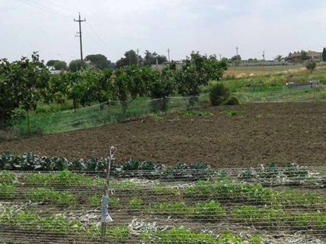 Terreno in vendita a Puglia, Bari