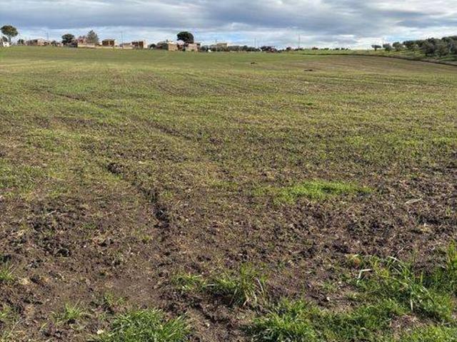 Terreno in vendita a Puglia, Bari
