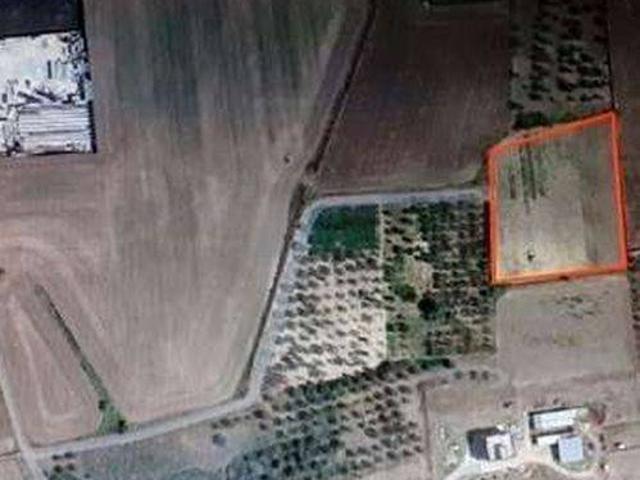 Terreno in vendita a Puglia, Bari