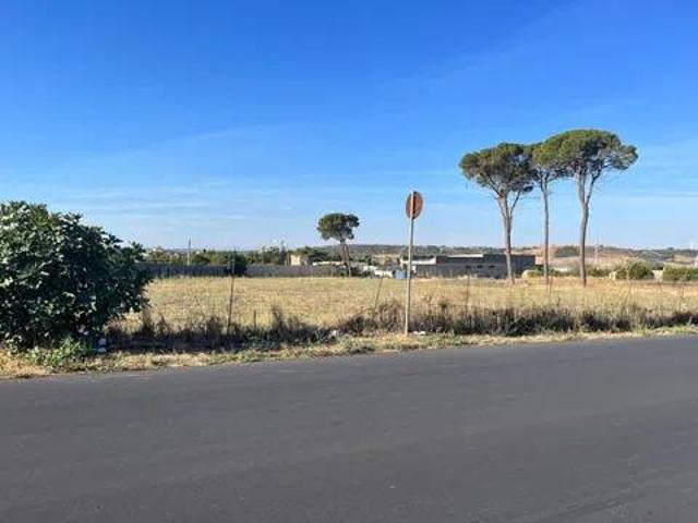 Terreno in vendita a Puglia, Bari