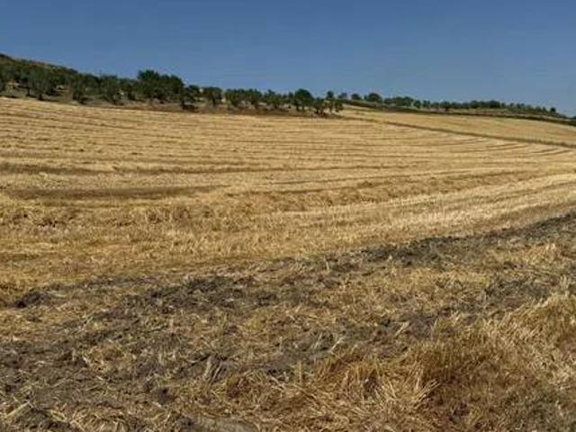Terreno in vendita a Puglia, Bari